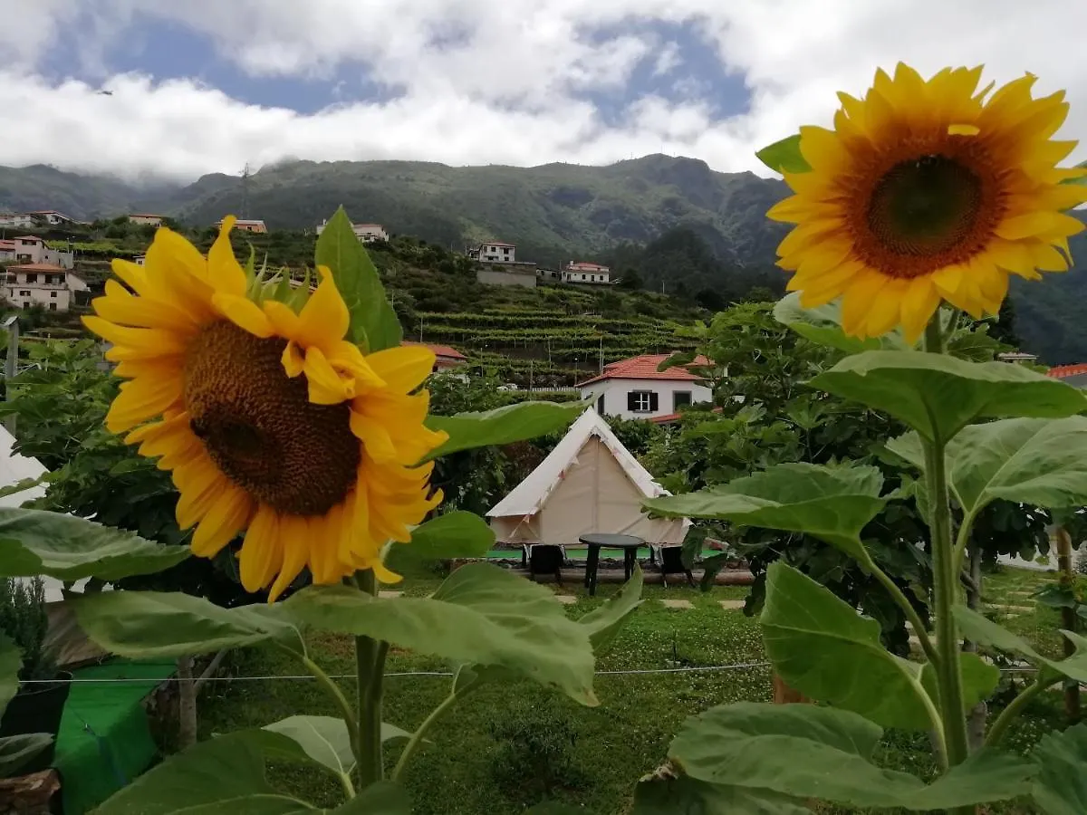 Granny'S Farm Guest House Sao Vicente  0*, Sao Vicente (Madeira) Portugal