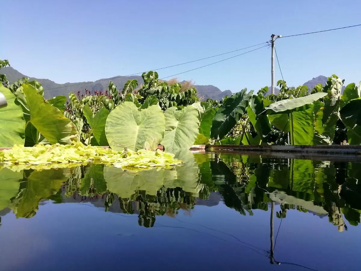 Country house Granny'S Farm Guest House Sao Vicente